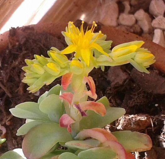 274243746_5052863654735369_9020277081862021860_n