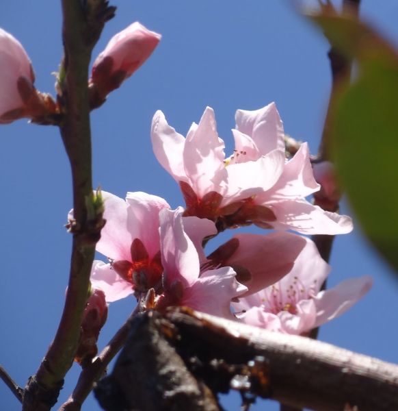 274263772_5061285277226540_8777922405342792116_n