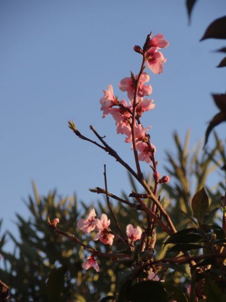 274298242_5061284783893256_3529552788806288595_n