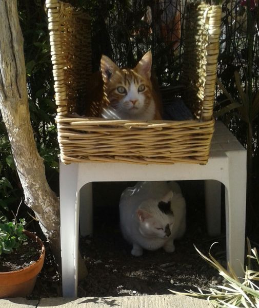 274305349_5052800228075045_9106246415857168095_n