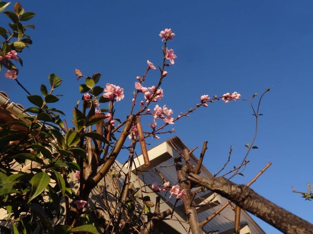 274332017_5061286007226467_4629497376740428546_n