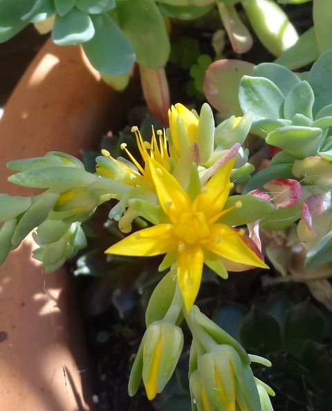 274334696_5061291477225920_8727284745483472452_n