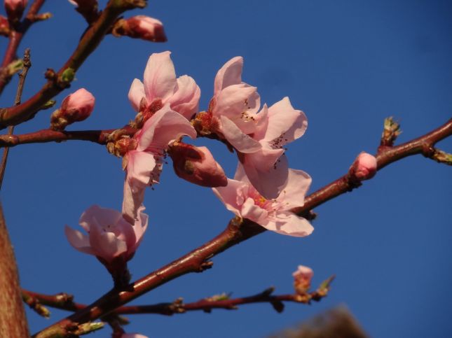 274341606_5061283967226671_6337751202366792448_n