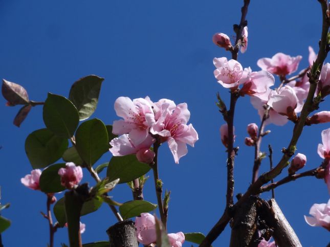 274349185_5061285557226512_8537327614151257123_n