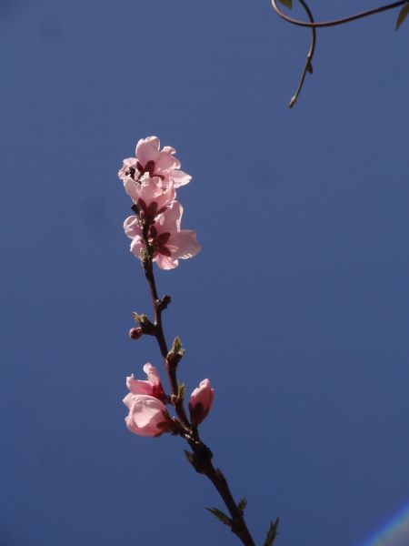 274680331_5061287780559623_6883088089066361021_n