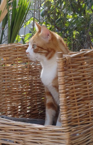 276305394_5142867439068323_6876882817711086806_n