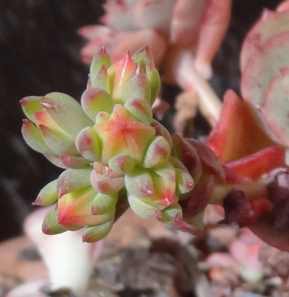 276323482_5144937295528004_6265647729877577964_n