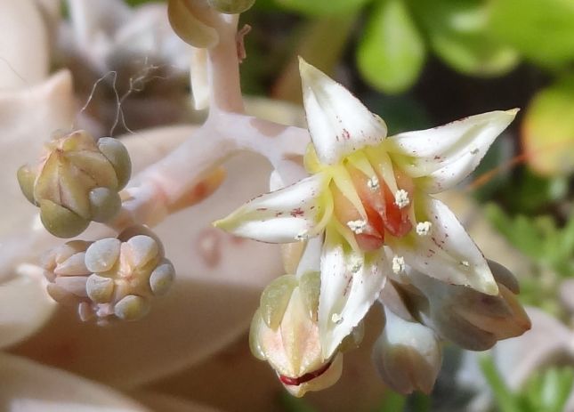 277308208_5144936802194720_7292674384224322515_n