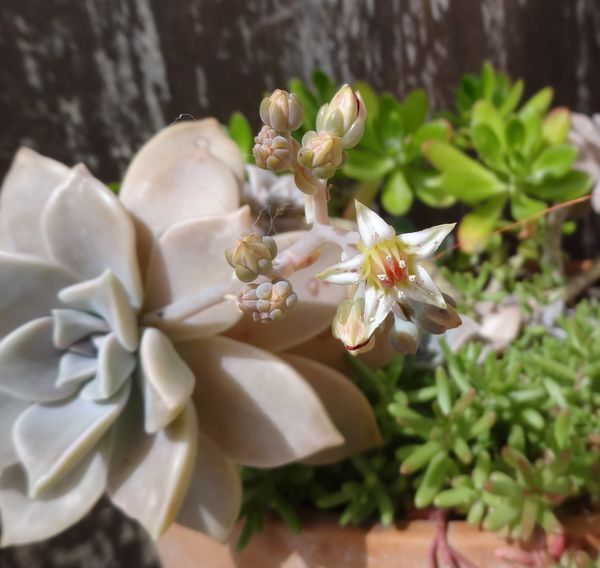 277309056_5144936568861410_5480617014826116047_n