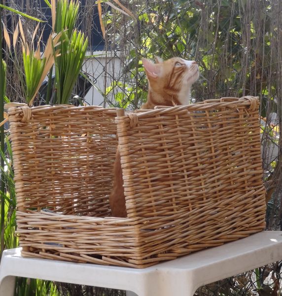 277311444_5142872212401179_1590944784270731205_n