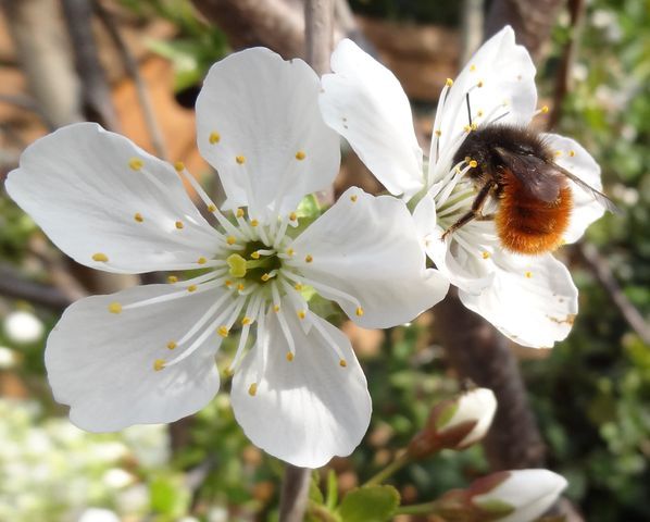 277347683_5142914195730314_39626879483650207_n_1