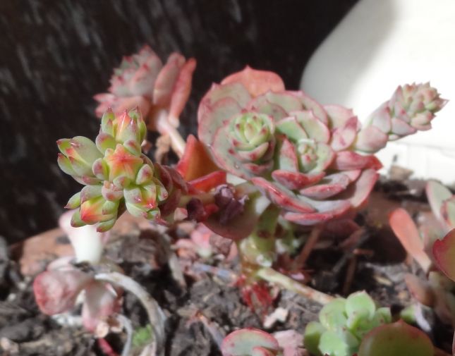 277365465_5144937148861352_3319566310961353692_n