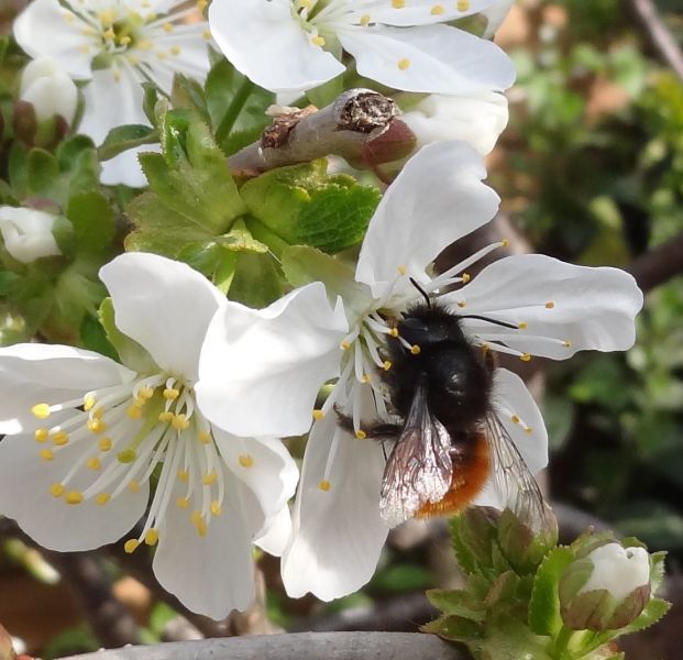 277365678_5142914495730284_7913185122392376232_n