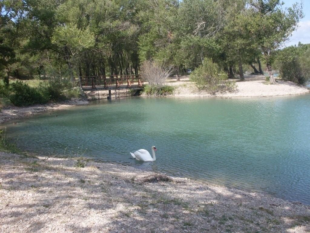 Hier, au bord de l'eau à Sainte Cécile...