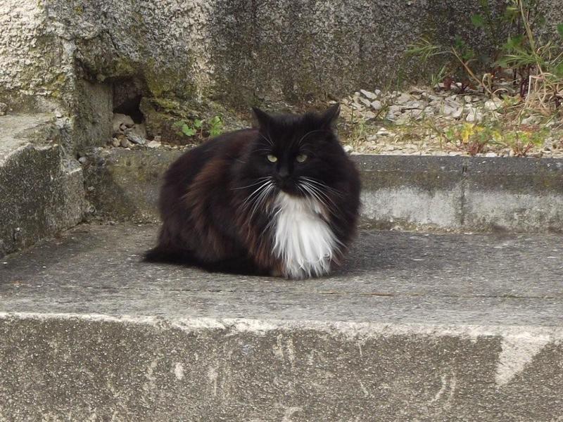 rencontre sympathique