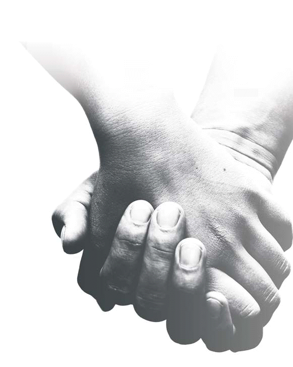 D FINITION DE DONNER visual data 6