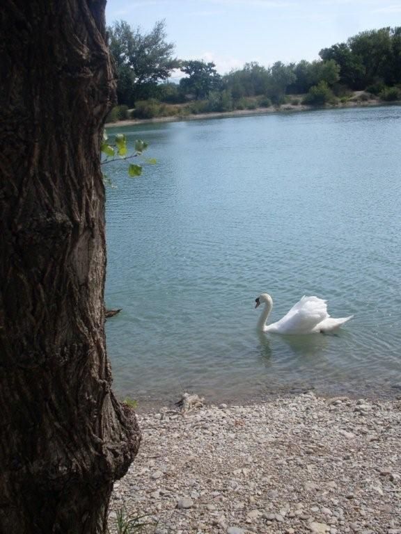 Hier, au bord de l'eau à Sainte Cécile...