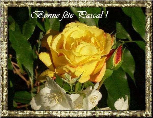 Bonne fête Pascal !