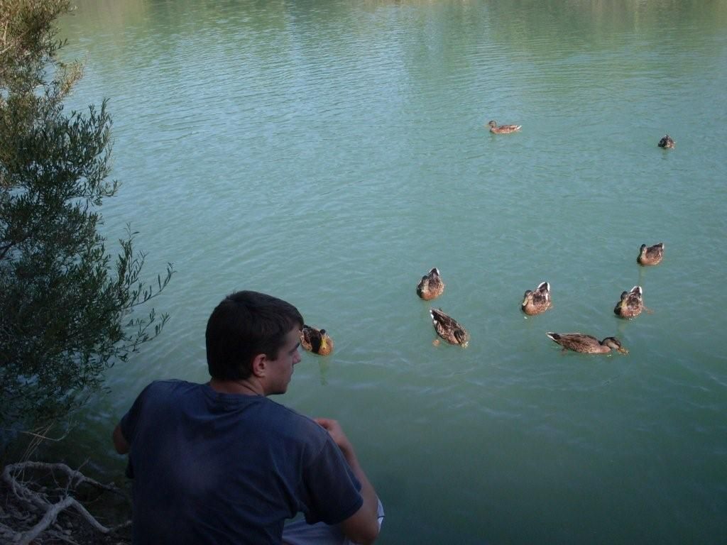 Aujourd'hui au bord de l'eau à SAINTE CECILE LES VIGNES dans le Vaucluse