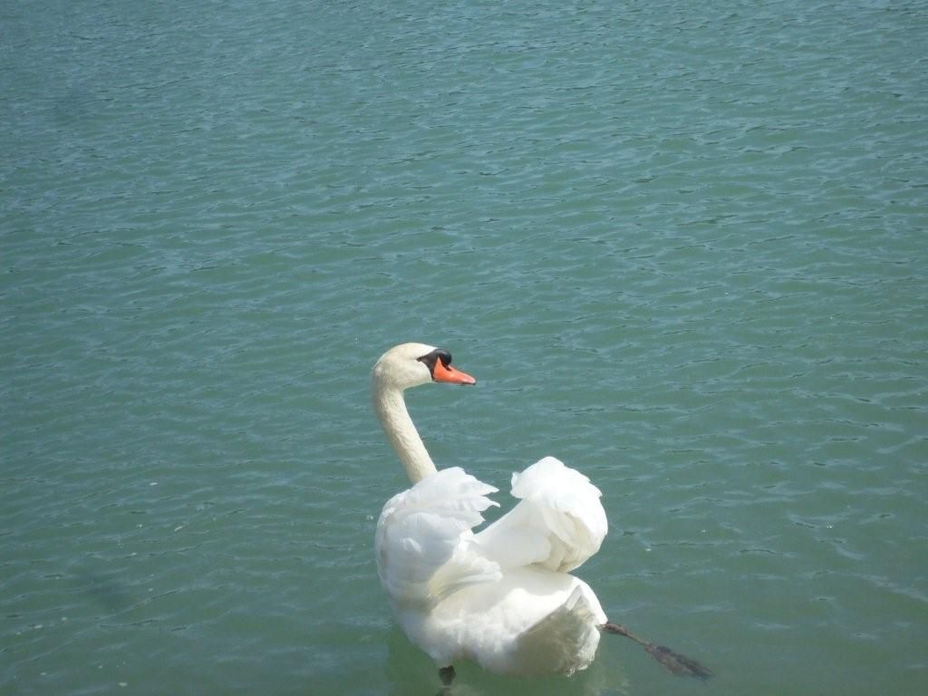 Hier, au bord de l'eau à Sainte Cécile...