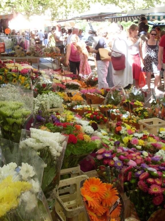 Hier matin à Sainte Cécile les vignes (Vaucluse)
