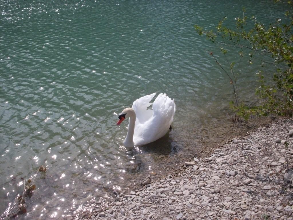 Hier, au bord de l'eau à Sainte Cécile...