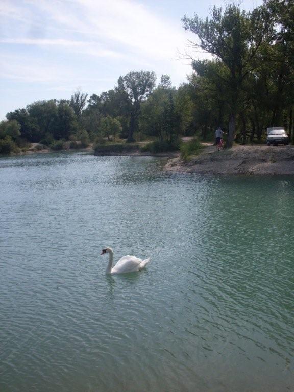 Hier, au bord de l'eau à Sainte Cécile...